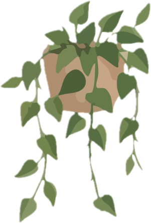 cute-shelf-plant.png